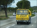 Ayglon