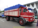 Solo Camion