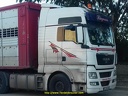 TGX XL