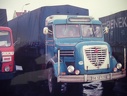 Magirus