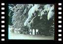 Un routier en Auvergne