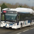 Autobus