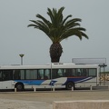 Autobus