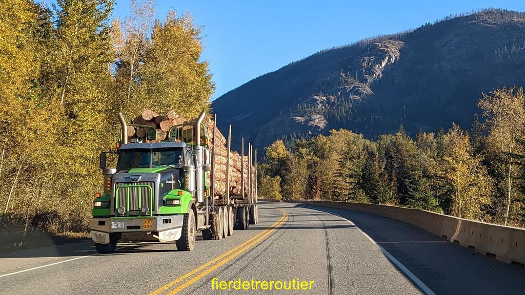 Transport XXL Nord Américain