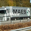 Maes