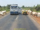 Camions d'Afrique