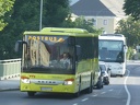 Autobus