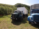 Berliet (5)