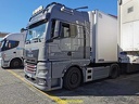 TGX XL